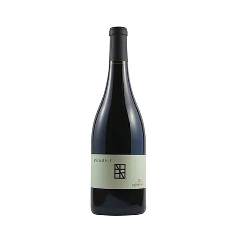 VINO TINTO ENSAMBLE COLINA BA 1 750ML
