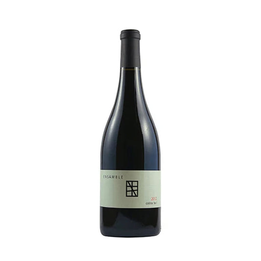 VINO TINTO ENSAMBLE COLINA BA 1 750ML
